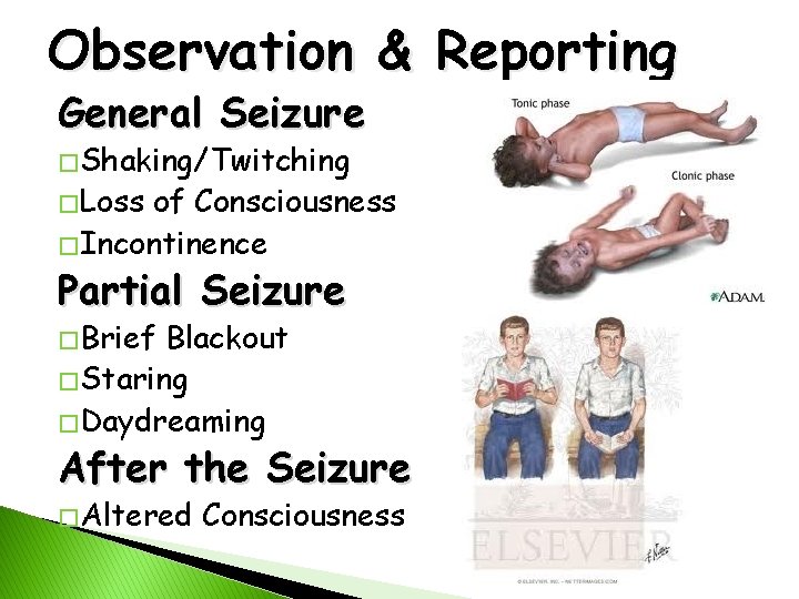 Observation & Reporting General Seizure � Shaking/Twitching � Loss of Consciousness � Incontinence Partial