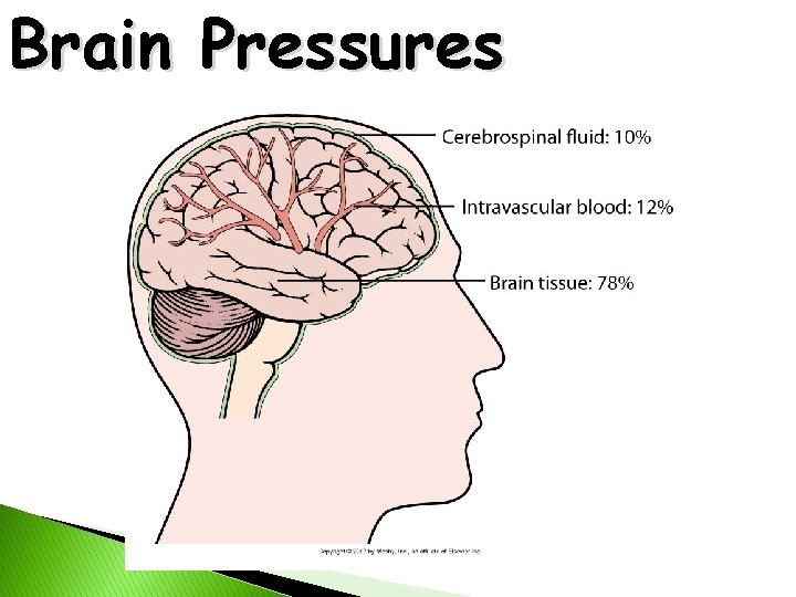 Brain Pressures 
