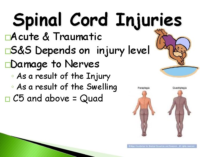 Spinal Cord Injuries �Acute & Traumatic �S&S Depends on injury level �Damage to Nerves