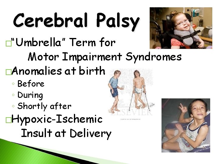 Cerebral Palsy �“Umbrella” Term for Motor Impairment Syndromes �Anomalies at birth ◦ Before ◦