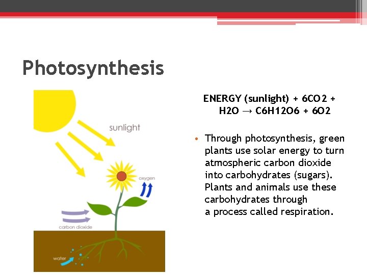 Photosynthesis ENERGY (sunlight) + 6 CO 2 + H 2 O → C 6