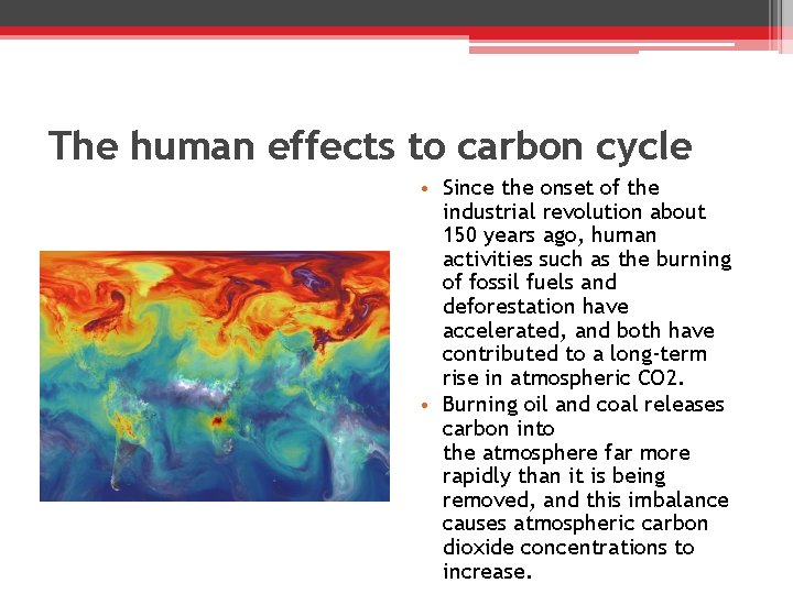 The human effects to carbon cycle • Since the onset of the industrial revolution