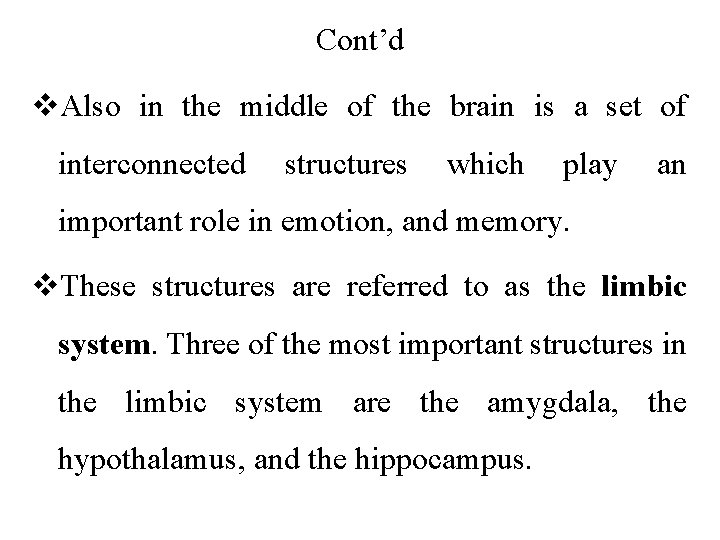 Cont’d v. Also in the middle of the brain is a set of interconnected