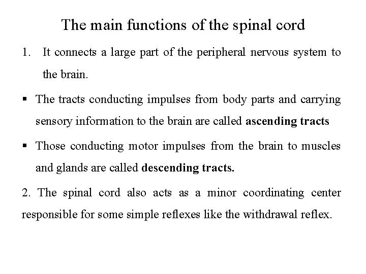 The main functions of the spinal cord 1. It connects a large part of