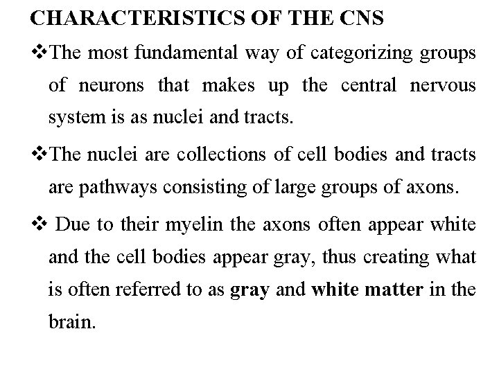 CHARACTERISTICS OF THE CNS v. The most fundamental way of categorizing groups of neurons