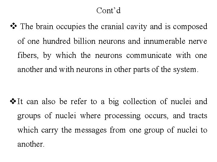 Cont’d v The brain occupies the cranial cavity and is composed of one hundred