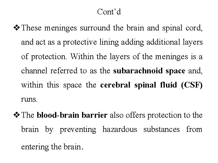 Cont’d v These meninges surround the brain and spinal cord, and act as a