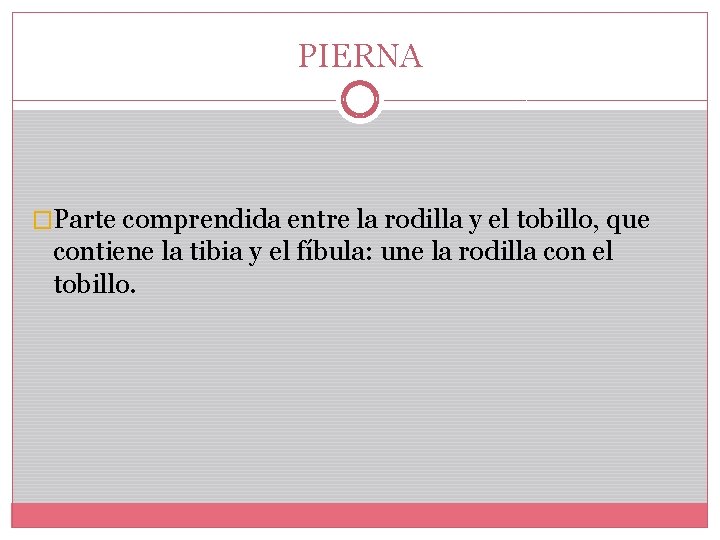 PIERNA �Parte comprendida entre la rodilla y el tobillo, que contiene la tibia y