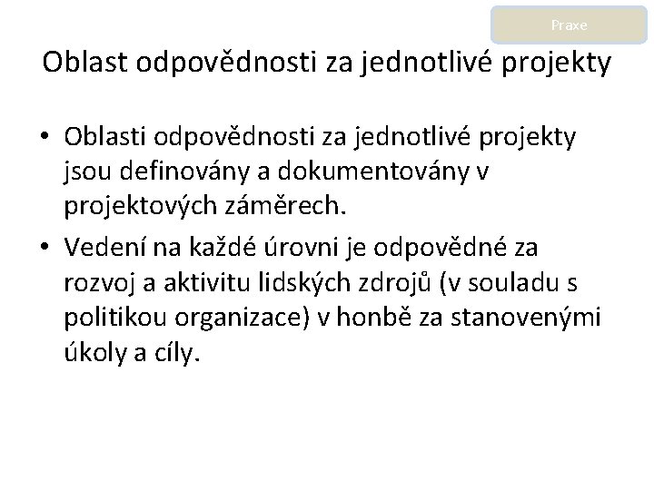 Praxe Oblast odpovědnosti za jednotlivé projekty • Oblasti odpovědnosti za jednotlivé projekty jsou definovány