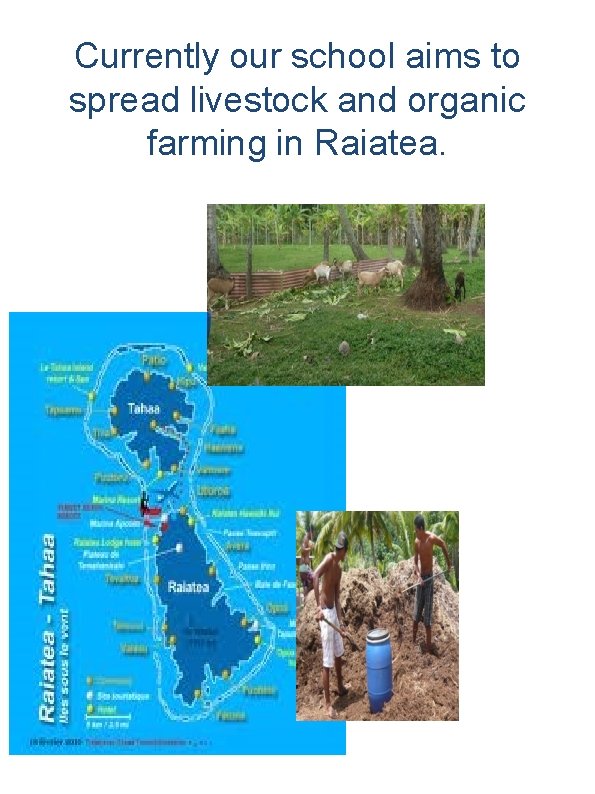 Currently our school aims to spread livestock and organic farming in Raiatea. 