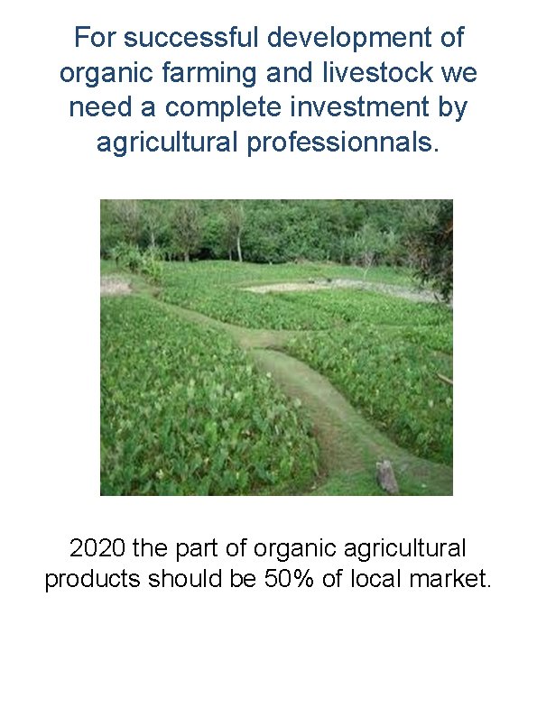 For successful development of organic farming and livestock we need a complete investment by