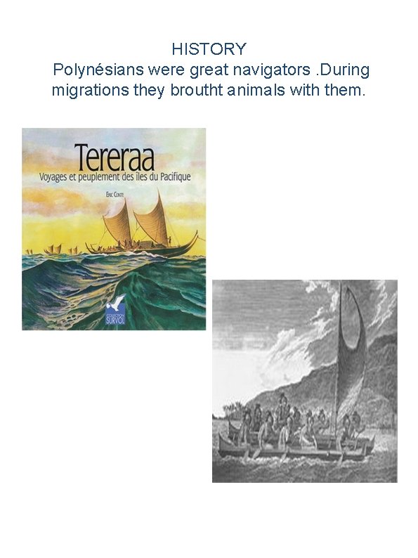 HISTORY Polynésians were great navigators. During migrations they broutht animals with them. 