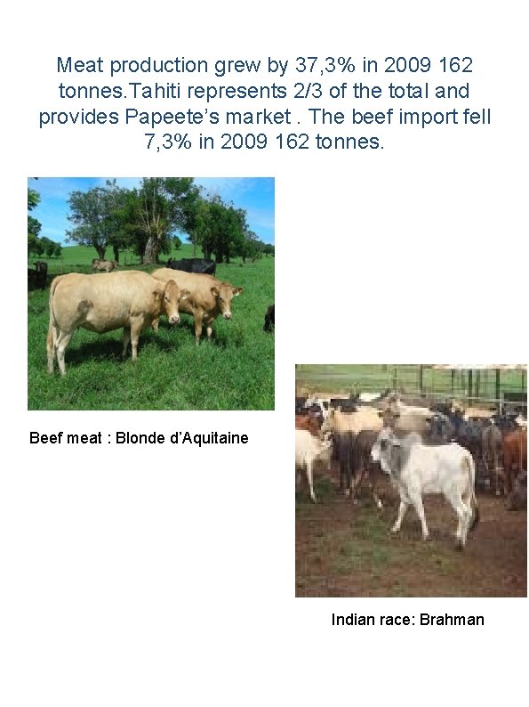 Meat production grew by 37, 3% in 2009 162 tonnes. Tahiti represents 2/3 of