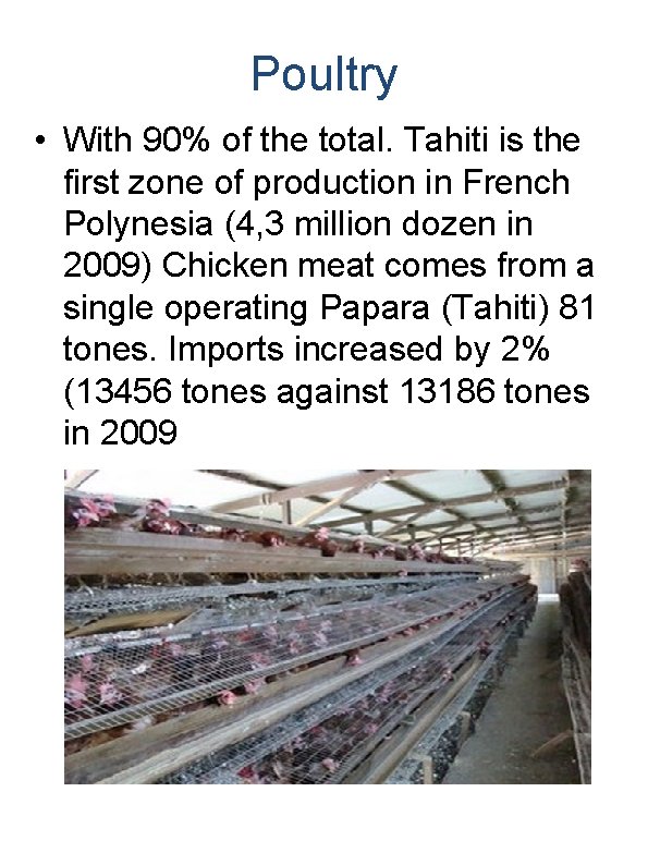 Poultry • With 90% of the total. Tahiti is the first zone of production