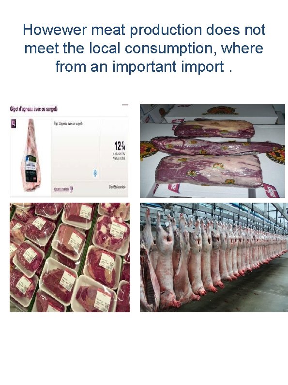 Howewer meat production does not meet the local consumption, where from an important import.