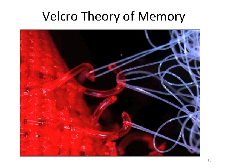 Velcro Theory of Memory 16 
