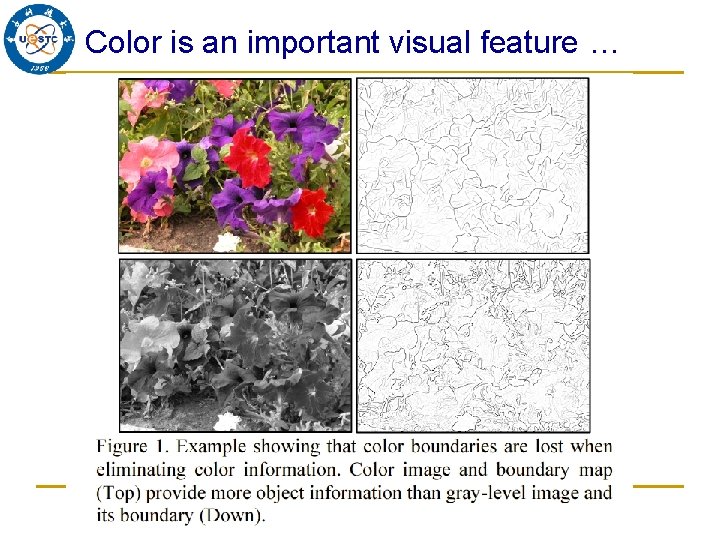 Color is an important visual feature … 