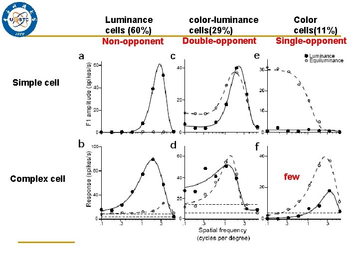 Luminance cells (60%) Non-opponent color-luminance cells(29%) Double-opponent Color cells(11%) Single-opponent Simple cell Complex cell