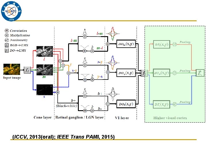 (ICCV, 2013(oral); IEEE Trans PAMI, 2015) 