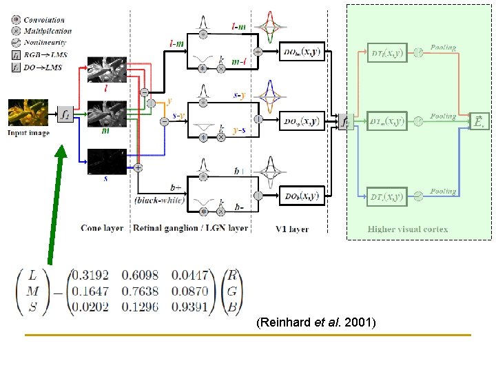 (Reinhard et al. 2001) 