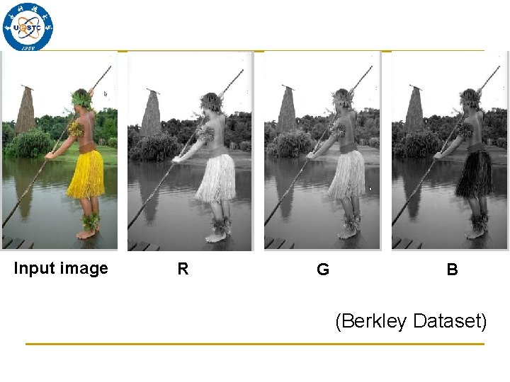Input image R G B (Berkley Dataset) 