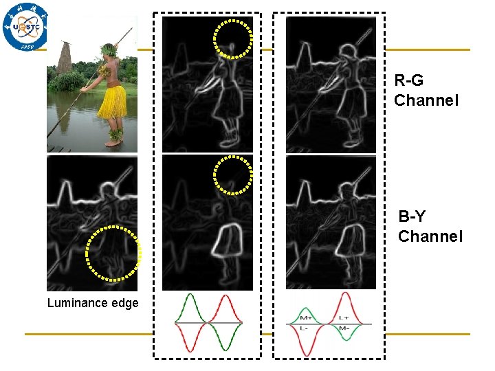 R-G Channel B-Y Channel Luminance edge 