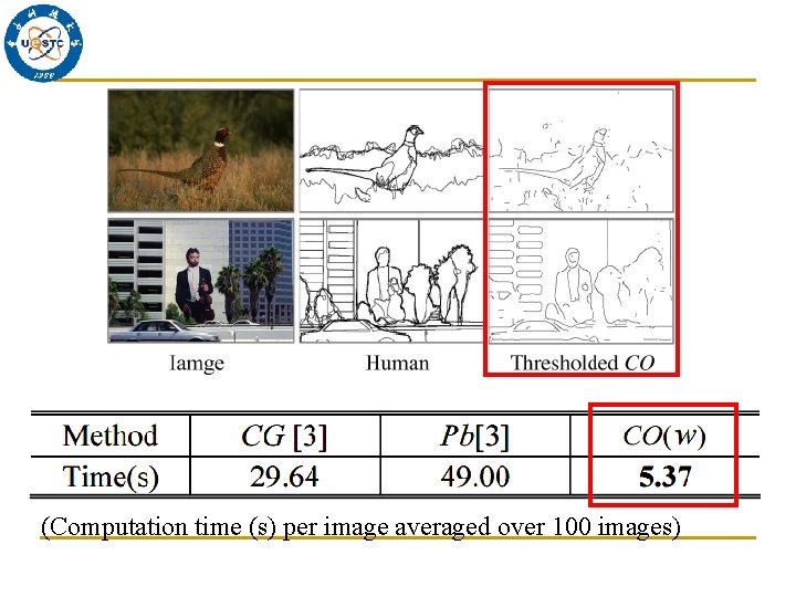 (Computation time (s) per image averaged over 100 images) 
