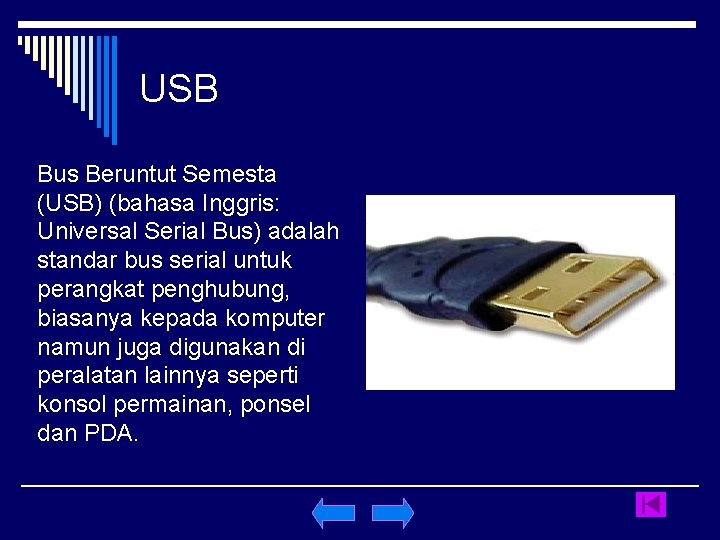 USB Bus Beruntut Semesta (USB) (bahasa Inggris: Universal Serial Bus) adalah standar bus serial