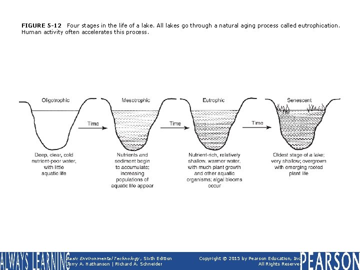 FIGURE 5 -12 Four stages in the life of a lake. All lakes go