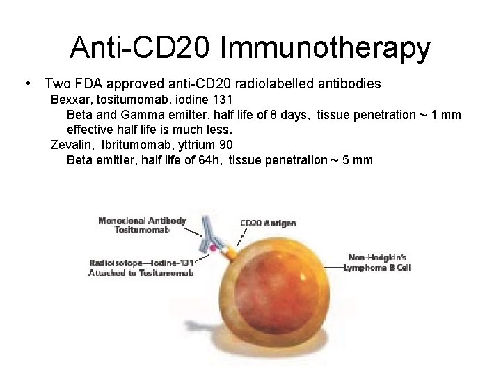 Anti-CD 20 Immunotherapy • Two FDA approved anti-CD 20 radiolabelled antibodies Bexxar, tositumomab, iodine