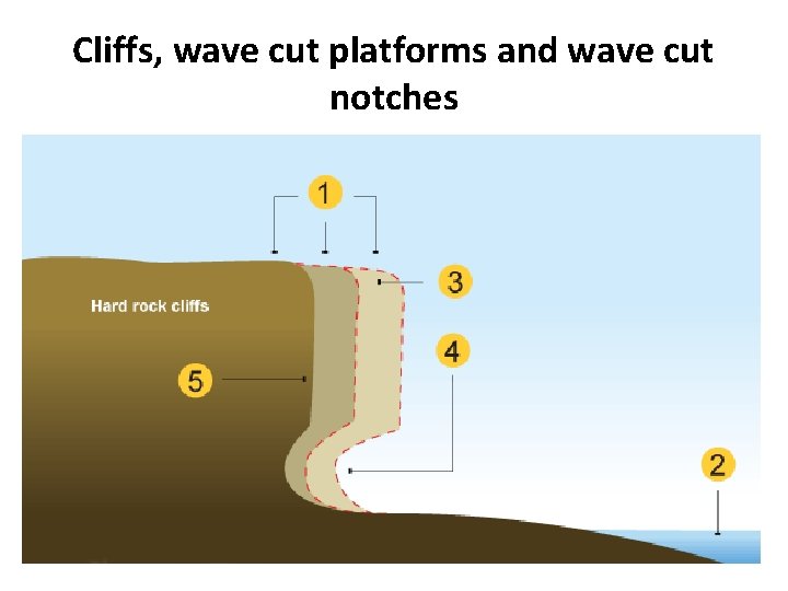 Cliffs, wave cut platforms and wave cut notches 