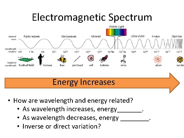 Electromagnetic Spectrum Energy Increases • How are wavelength and energy related? • As wavelength