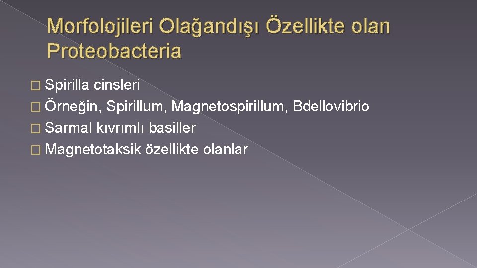 Morfolojileri Olağandışı Özellikte olan Proteobacteria � Spirilla cinsleri � Örneğin, Spirillum, Magnetospirillum, Bdellovibrio �