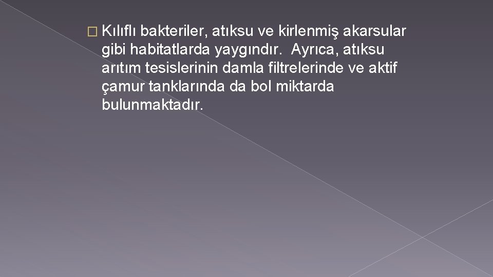 � Kılıflı bakteriler, atıksu ve kirlenmiş akarsular gibi habitatlarda yaygındır. Ayrıca, atıksu arıtım tesislerinin