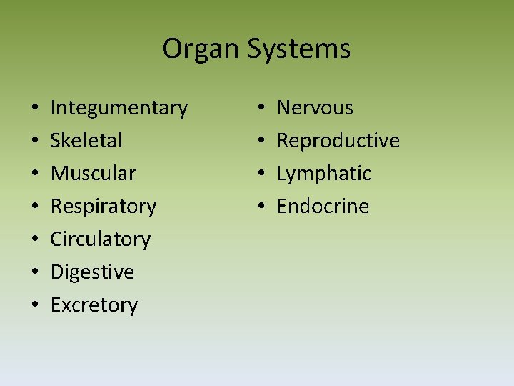 Organ Systems • • Integumentary Skeletal Muscular Respiratory Circulatory Digestive Excretory • • Nervous
