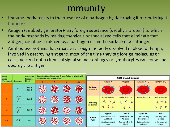 Immunity • Immune‐ body reacts to the presence of a pathogen by destroying it