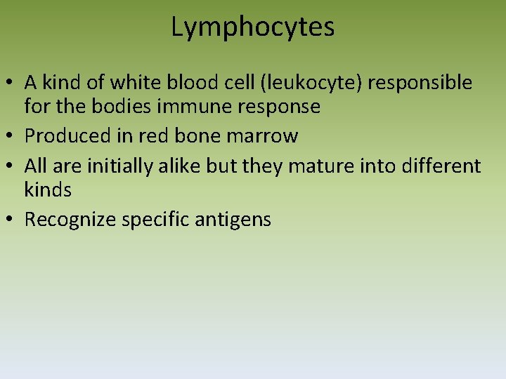 Lymphocytes • A kind of white blood cell (leukocyte) responsible for the bodies immune