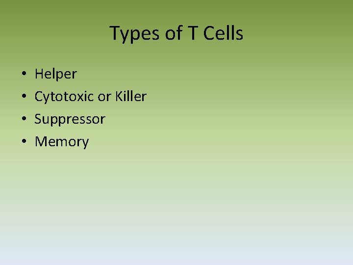 Types of T Cells • • Helper Cytotoxic or Killer Suppressor Memory 