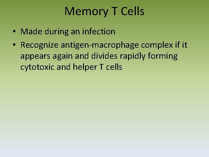 Memory T Cells • Made during an infection • Recognize antigen‐macrophage complex if it