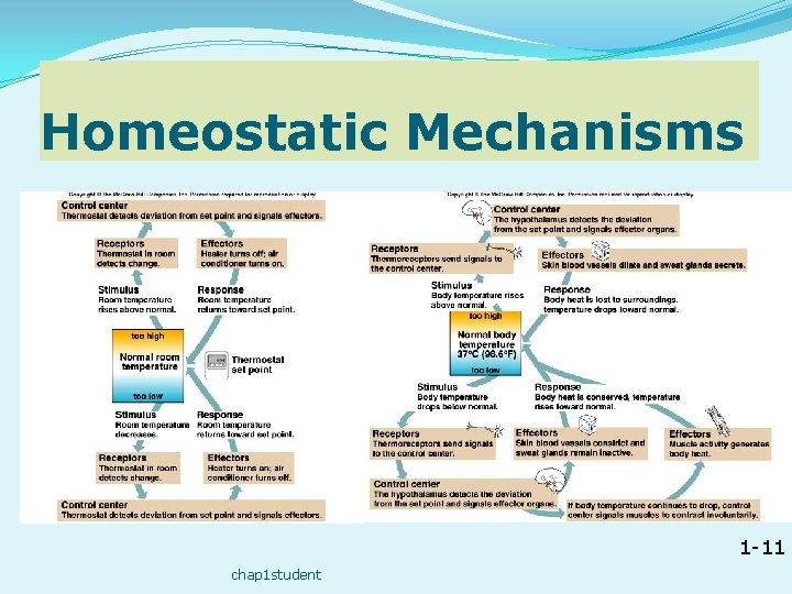 Homeostatic Mechanisms 1 -11 chap 1 student 