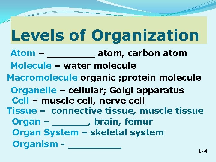 Levels of Organization Atom – ____ atom, carbon atom Molecule – water molecule Macromolecule