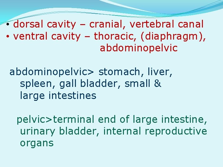  • dorsal cavity – cranial, vertebral canal • ventral cavity – thoracic, (diaphragm),