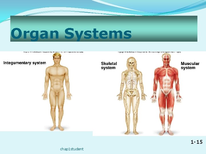 Organ Systems 1 -15 chap 1 student 