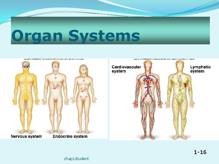 Organ Systems 1 -16 chap 1 student 