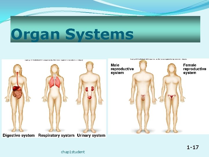 Organ Systems chap 1 student 1 -17 