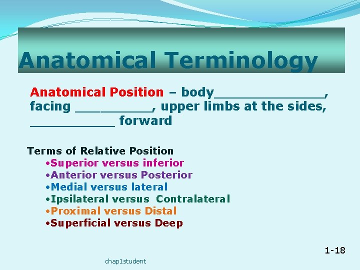 Anatomical Terminology Anatomical Position – body_______, facing _____, upper limbs at the sides, _____