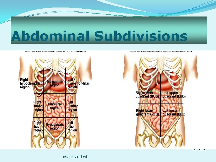 Abdominal Subdivisions 1 -20 chap 1 student 