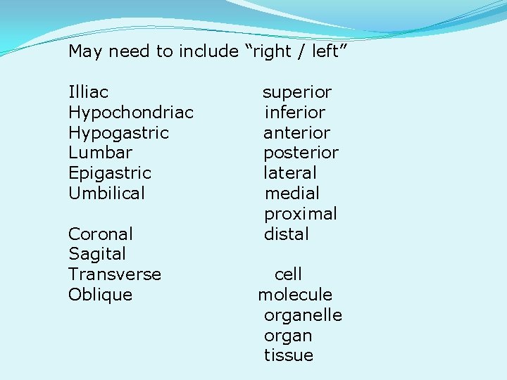 May need to include “right / left” Illiac Hypochondriac Hypogastric Lumbar Epigastric Umbilical Coronal