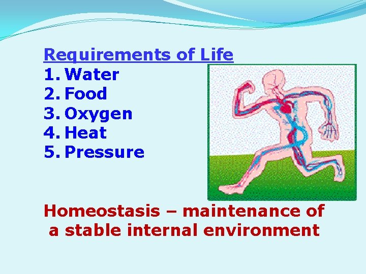 Requirements of Life 1. Water 2. Food 3. Oxygen 4. Heat 5. Pressure Homeostasis