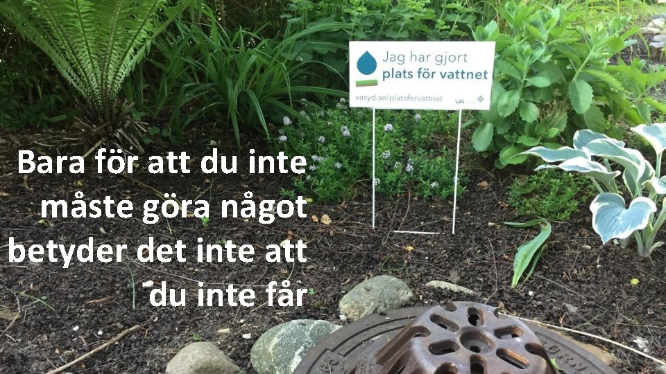 Bara för att du inte måste göra något betyder det inte att du inte